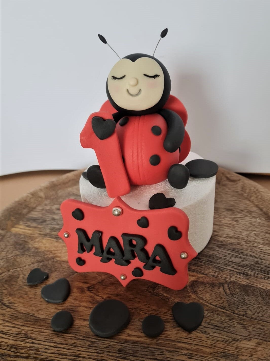 Marley der Marienkäfer